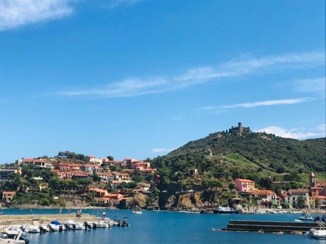 Villa Confort Et Cosy 20 Minutes D'Espagne Plage d'Argeles Bagian luar foto