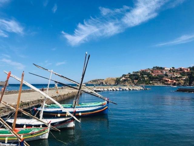 Villa Confort Et Cosy 20 Minutes D'Espagne Plage d'Argeles Bagian luar foto