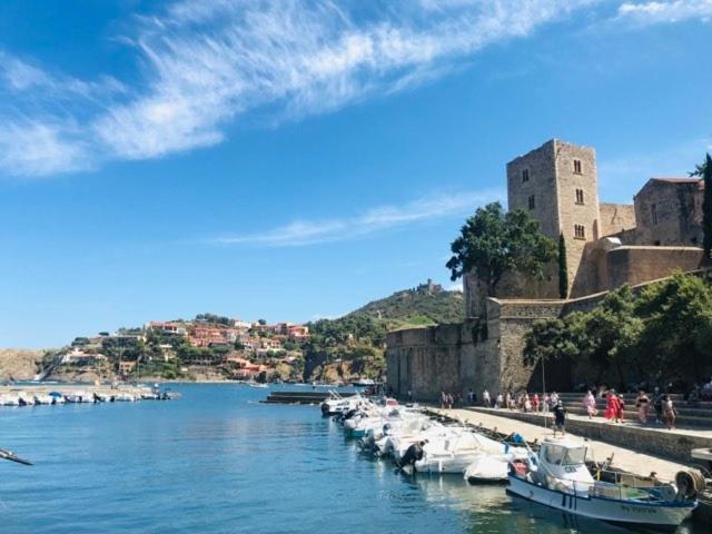 Villa Confort Et Cosy 20 Minutes D'Espagne Plage d'Argeles Bagian luar foto